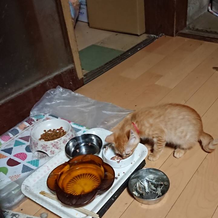 3b18aed4 382c 494b a8d4 a05d5387437f 1631391877723