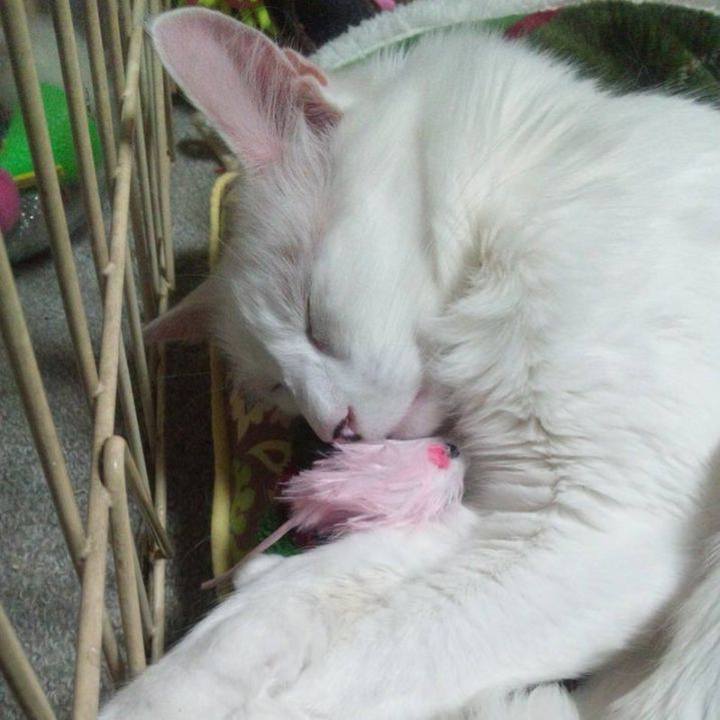 3b18be29 dcaa 4428 a78e 2e6f89b02fd3 1679603783771