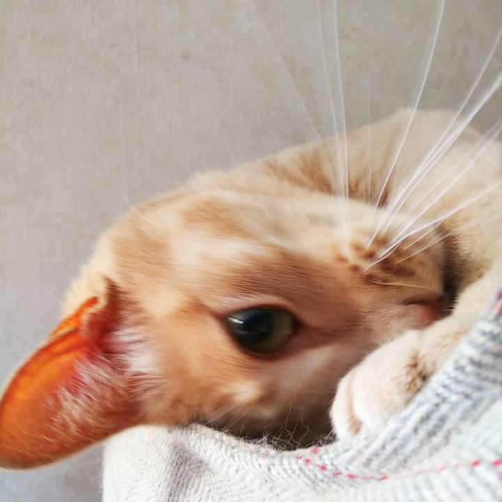 3b18d1d6 f2ad 47f3 a179 ea563dfe8854 1642295796754