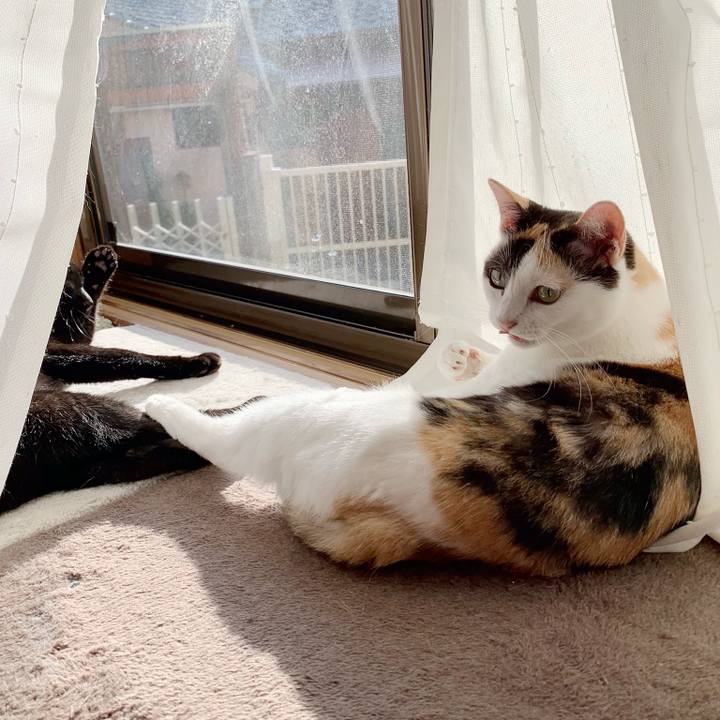 3b18e891 377a 4105 9c47 b090e52186d8 1540174954771