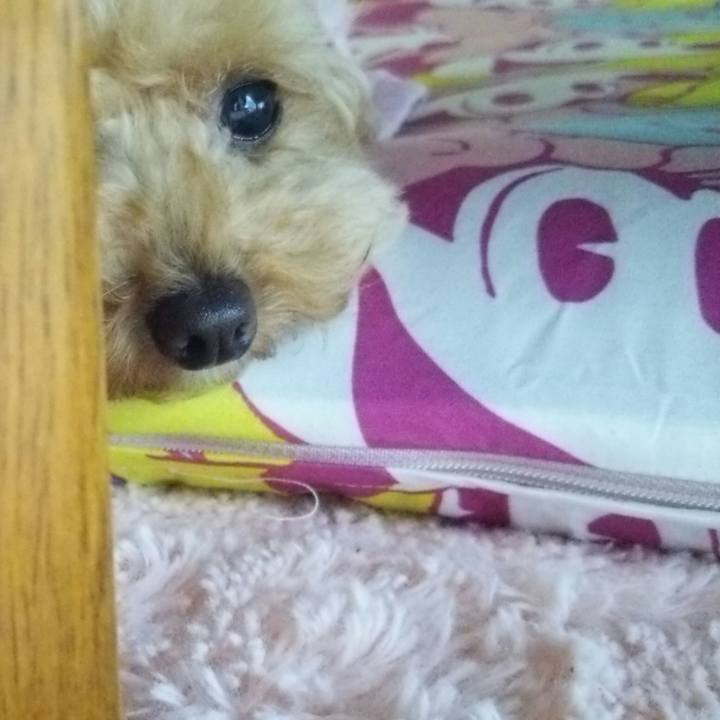 3b19233d 6ef5 47d3 a4c9 5e0bc0c786a6 1560600992504