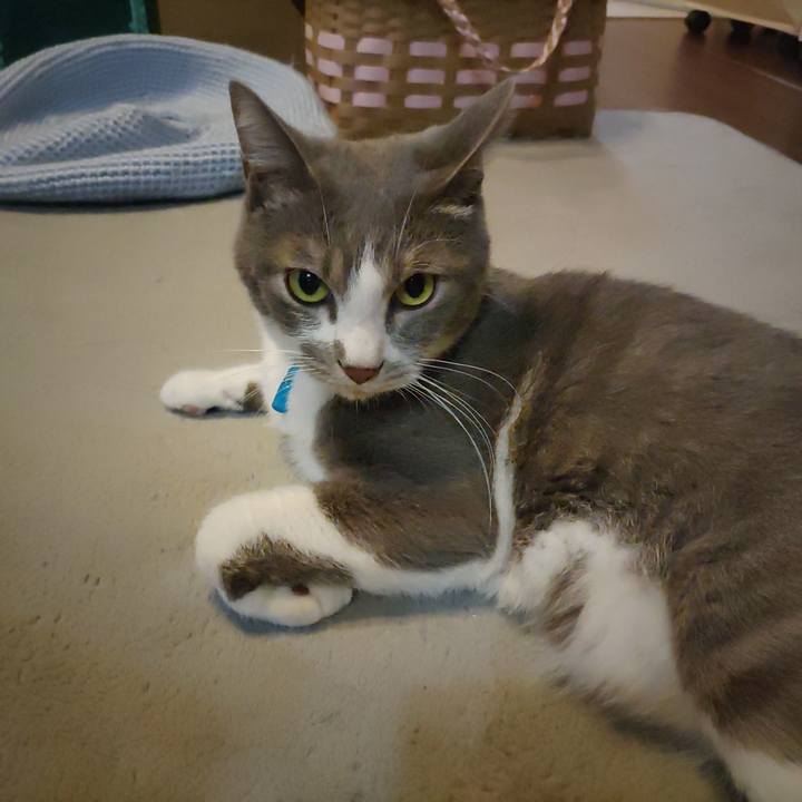 3b192881 02f8 4c96 a14a 8c261fd1ab5b 1665006852237