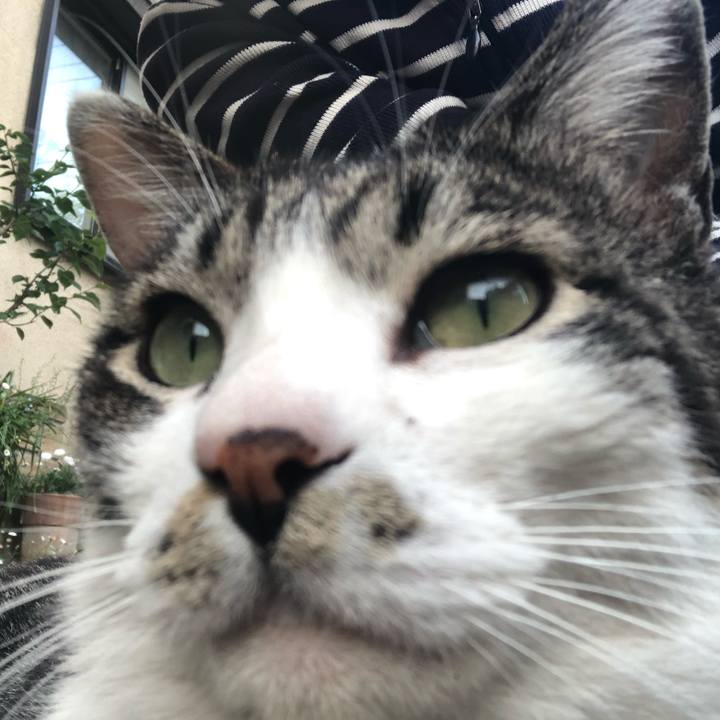 3b192ae7 69aa 4120 960e fa3094233b98 1588910571657