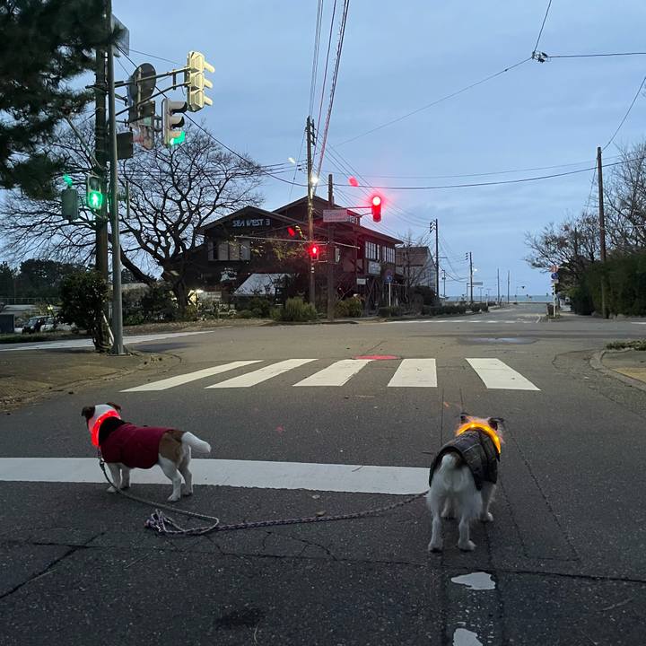 3b1954d4 cca1 4901 8f65 e3710d03484c 1764717179540