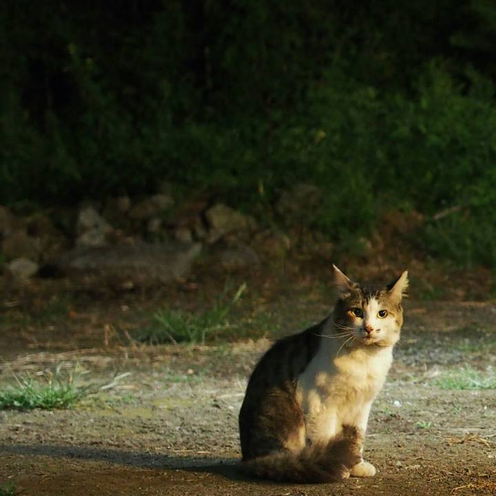 3b198319 e29a 494c a661 c65d78c340ab 1535377702289