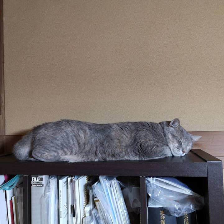 3b198774 1a9e 43d9 94e6 ee90e9cd0009 1566296932804