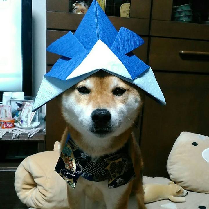 3b19c423 e5d5 4ecc 821a f28f2ec36940 1556008306362