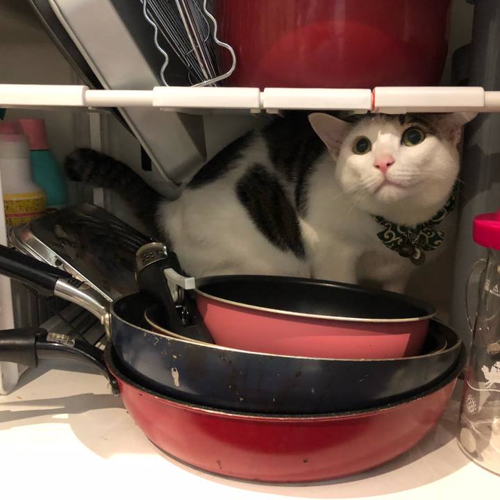 3b19cff5 b352 4961 b5f8 1c8681b6d6d4 1537199195448