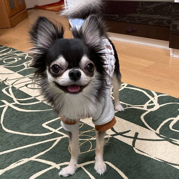 3b19d851 4e87 4c84 9826 df09a6bc6ab3 1643463843119