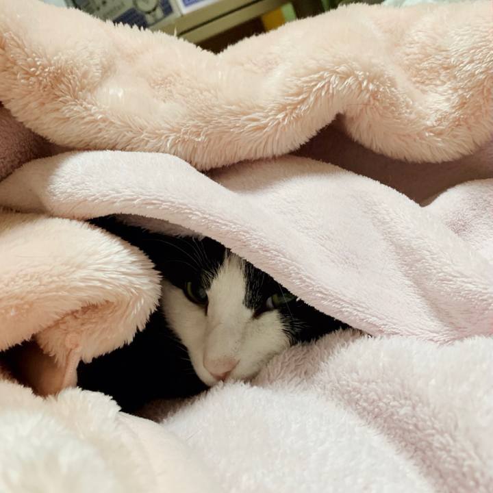 3b19e48a 5cb3 40a7 90c4 e671d51f3d3d 1552441218678