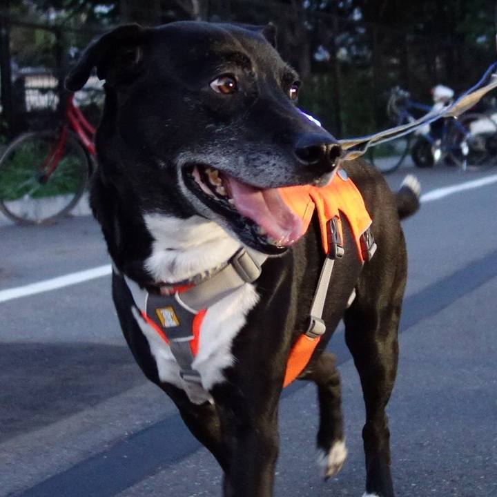 3b19e58d 2031 4b70 becd 426ee40cc3ae 1714819779914