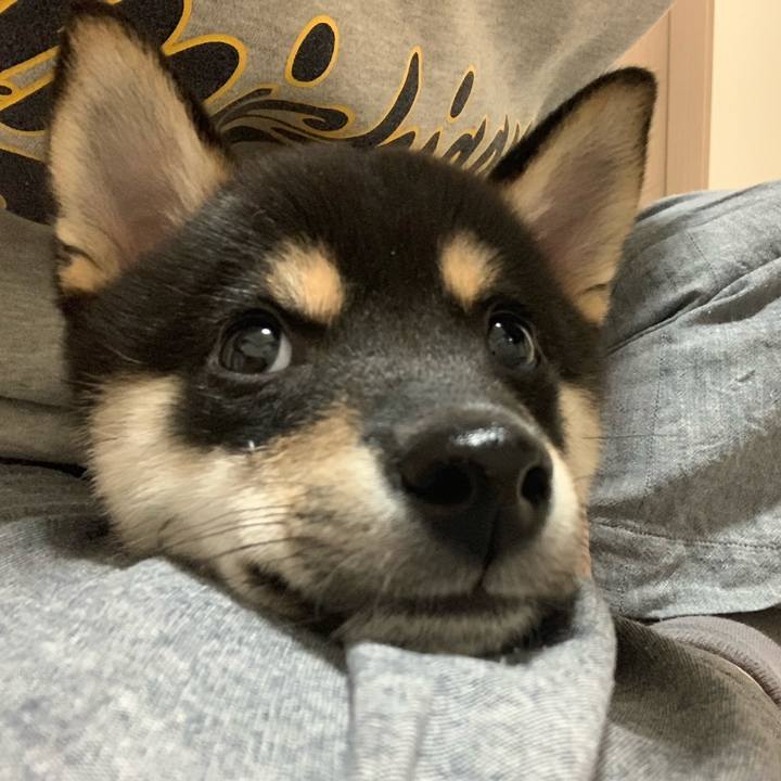 3b19e869 ecf6 491c b3a9 7b201529d60c 1555029658635