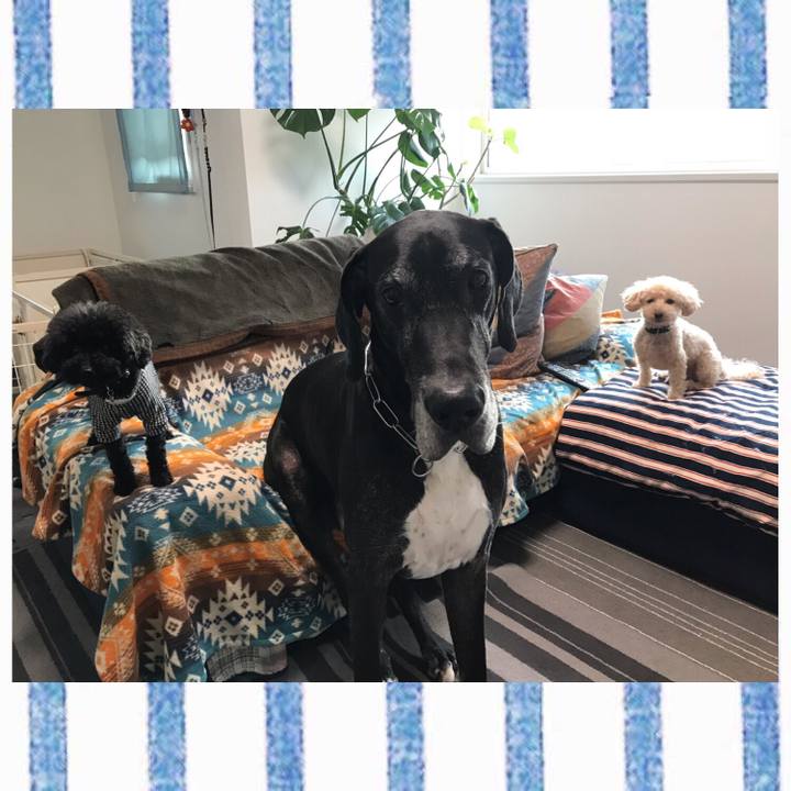 3b19eb47 d5ef 4265 a79b f29120691b1e 1540334839767