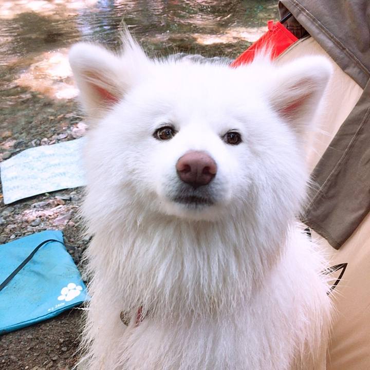 3b1a1382 1105 41a1 9366 a1f20168b589 1531547464896