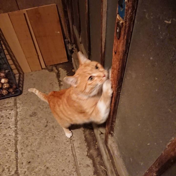 3b1a428d f5f4 470a a04f 000080356a26 1605171601190