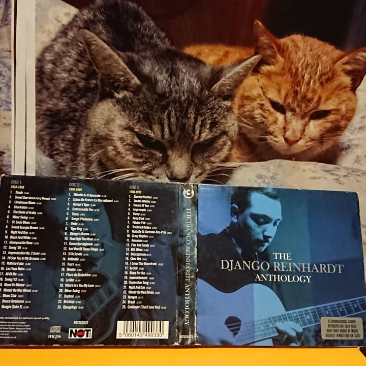 3b1a4f7a fe49 4727 8567 791370722998 1622550613020