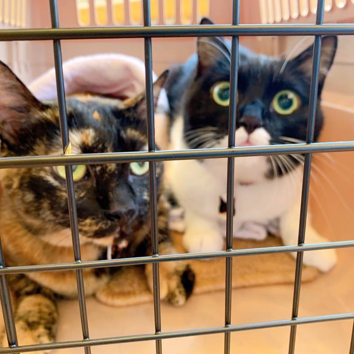 3b1a65aa d9c5 4511 8d30 1122c9bcda0b 1564403202266