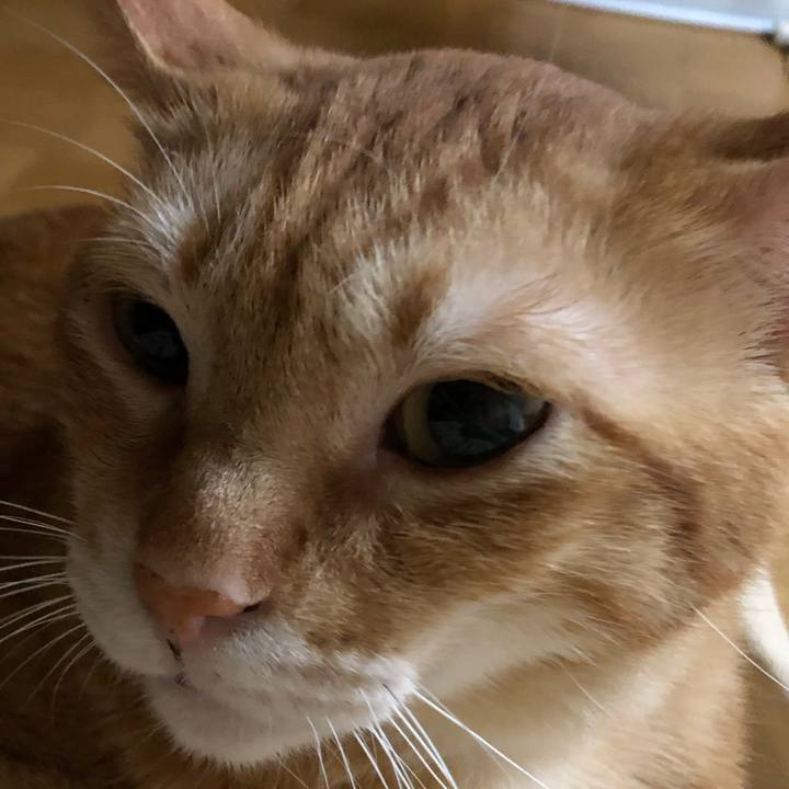 3b1a6bc3 670c 4c75 ac6b 89bef092d366 1598092166256