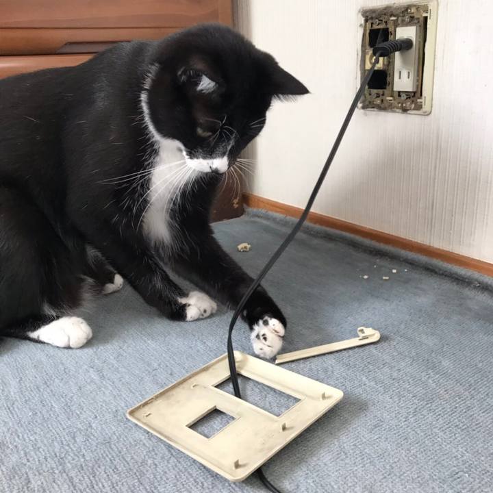 3b1a988e 52ab 42cd a0c6 4d5604e1dc93 1540784594586