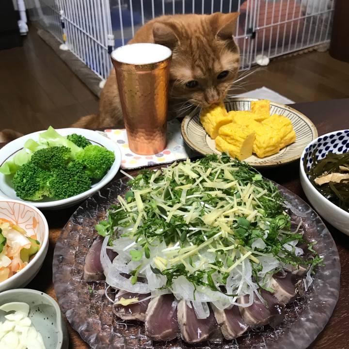 3b1afa78 98b7 433d b3df 35d60f6a78b0 1531832400443