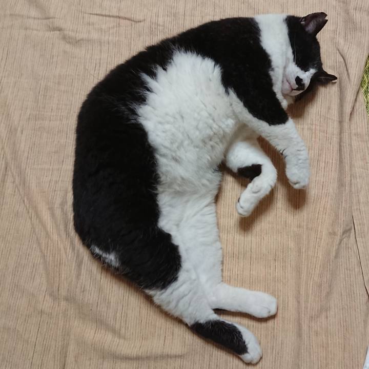 3b1b452c 6b83 45af 8928 d66957e3172f 1629111400534