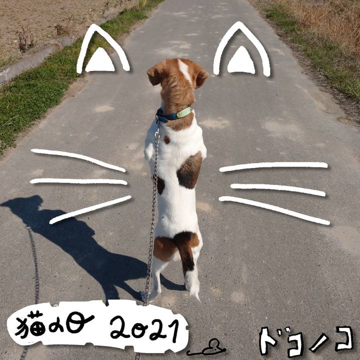 3b1b4dab a83f 406a 88a7 0fe6077e86a6 1613976579089