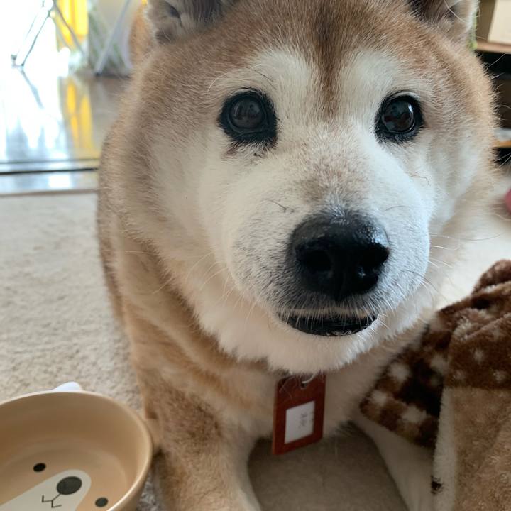 3b1b55cd 8c74 431f 9c17 68e497035620 1603011545198