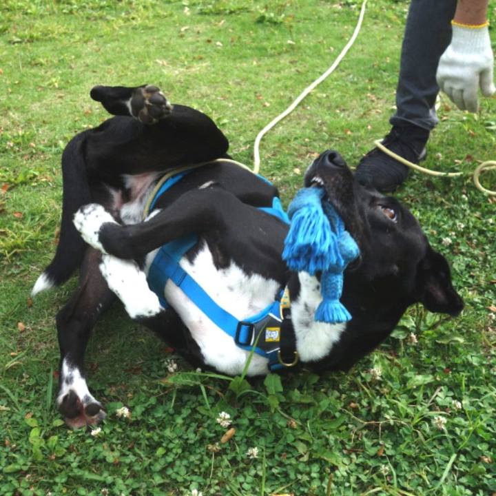 3b1b5db9 efb3 4123 bd5b ef63a8553840 1622593620569