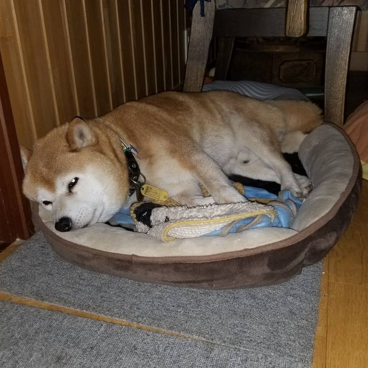 3b1b5e8c 6edd 48a4 a72a 58d17c279380 1622633562055