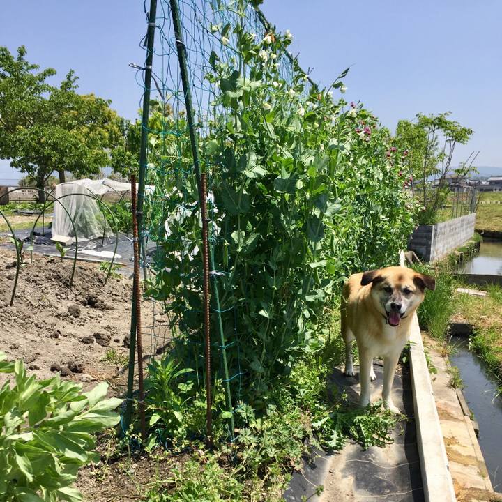 3b1bac60 285e 4684 b1d9 1ef69d98a3a6 1524885834568