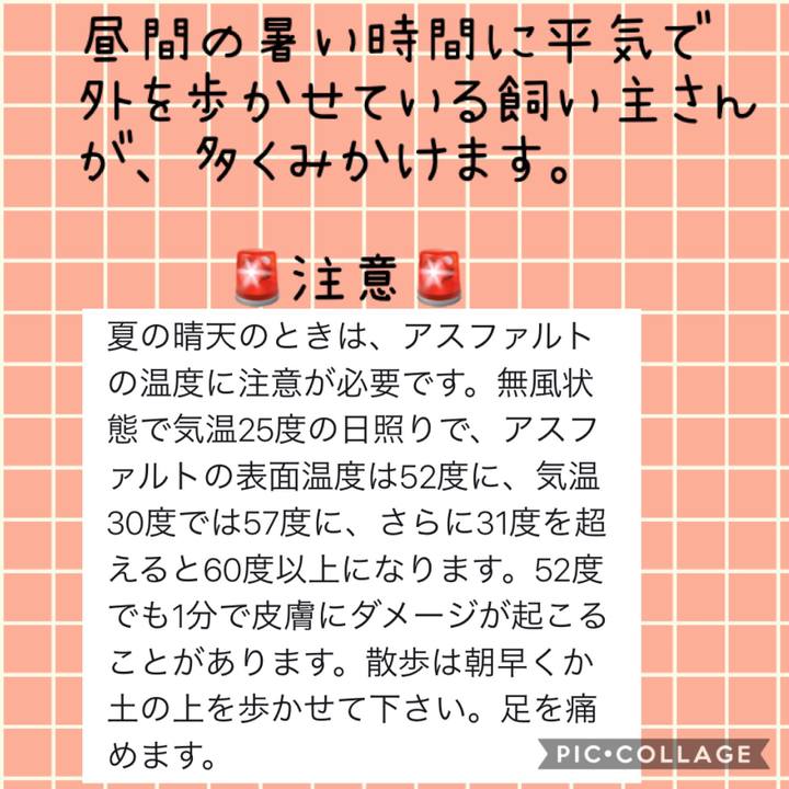 3b1be448 81a8 4cf3 a73a 9815f9e89c22 1565515002626