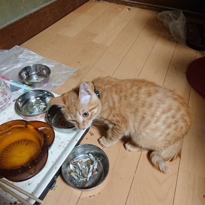 3b1bf922 8361 43d7 8783 f1f8f97d14cb 1634549080350