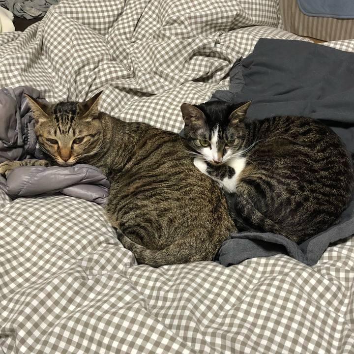 3b1c32ca e743 4669 bc8a 574956c7a63c 1515308992892