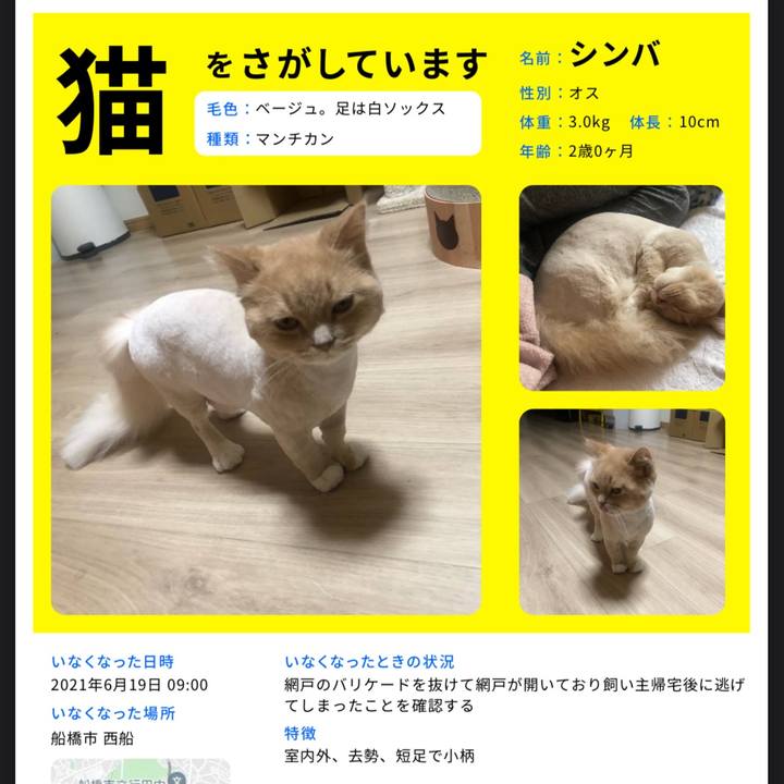 3b1c6b61 cdd9 4ae0 92b0 f05eccf3aa21 1624682349084