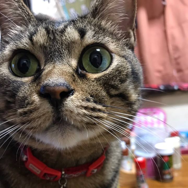 3b1c7145 37df 4f06 8541 74d79c7d69b2 1565098474249