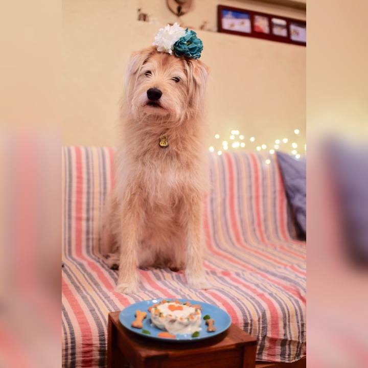 3b1c8689 e1cf 427f 89f0 d8024f2903eb 1648770957269