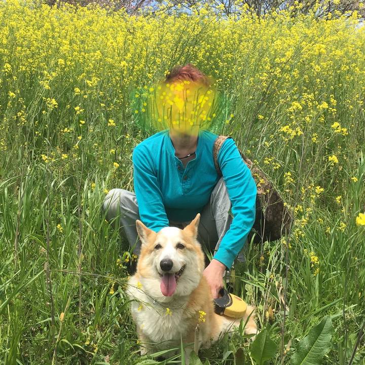 3b1cbb1b 0d61 4563 9cc6 26c98936a43d 1585266314002