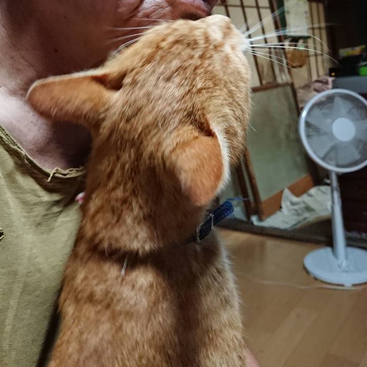 3b1cd81b c391 4f33 a542 b1ee1efca14b 1599166518321