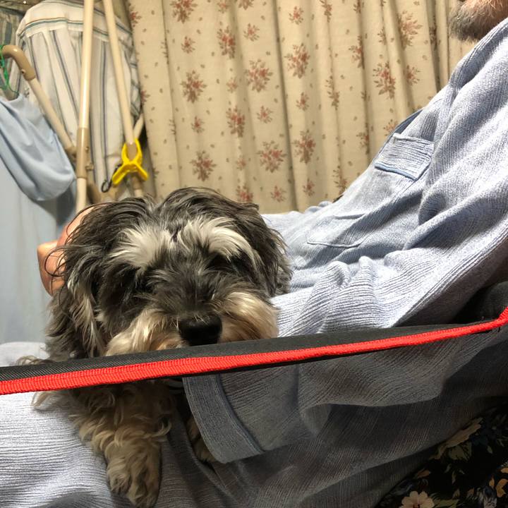 3b1ce6d6 ea09 4a71 bc7a 16053e290d25 1571410836945