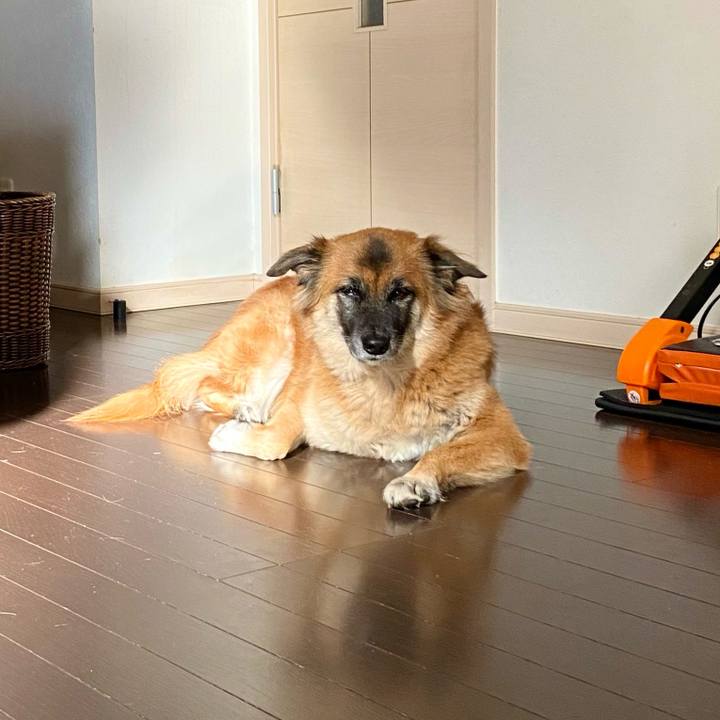 3b1cea32 a8d4 450d b1e2 8733f434b365 1765158317769