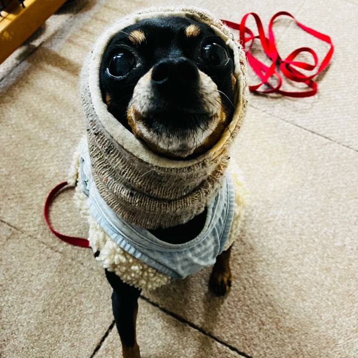 3b1cec33 7f61 4e7d 8094 cdff2e283ec6 1764109274752