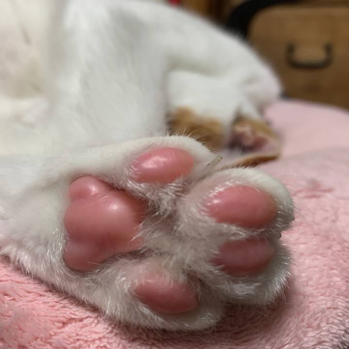 3b1d1ef4 6ec9 4049 99f3 a76fcb3e0c87 1594553300045