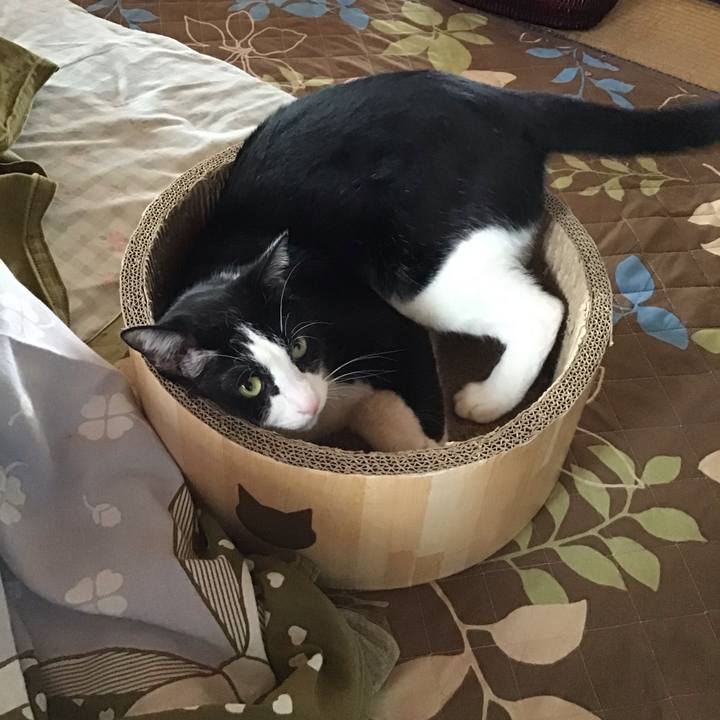 3b1d2d59 caae 433a b795 b80f35499c01 1731915276582