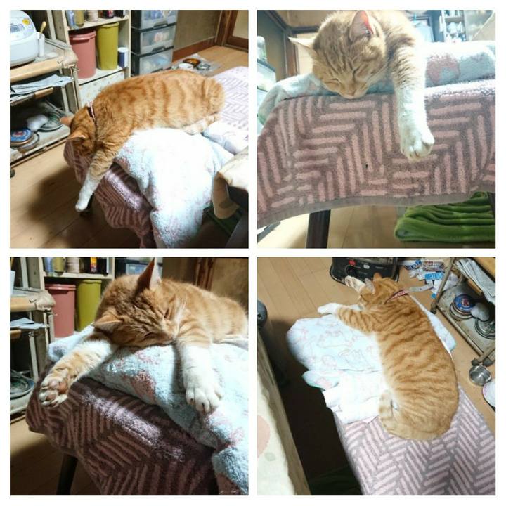 3b1d4f2f 0a98 4624 a6cc aa8b309cf0e0 1606856216473