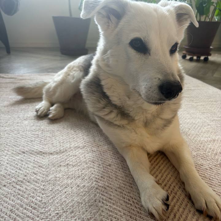 3b1d5a57 90e6 4076 8428 56e643749f96 1768823558300