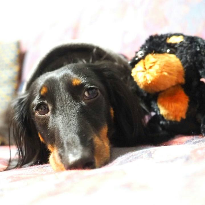 3b1d6279 1684 4d45 a0b8 e2c2f83cedbe 1516153805493