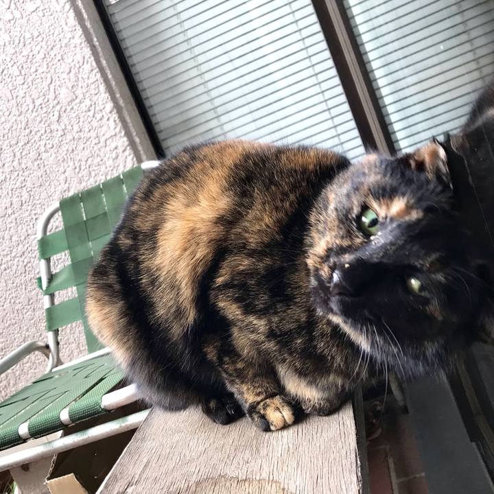 3b1d7202 1c9b 49c9 90c5 2ac5dce650d3 1611885064521