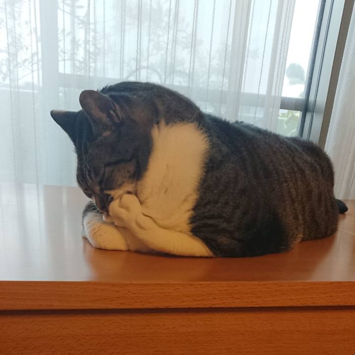 3b1d7446 5f6f 4682 94c0 42744b8fd39b 1542494604675