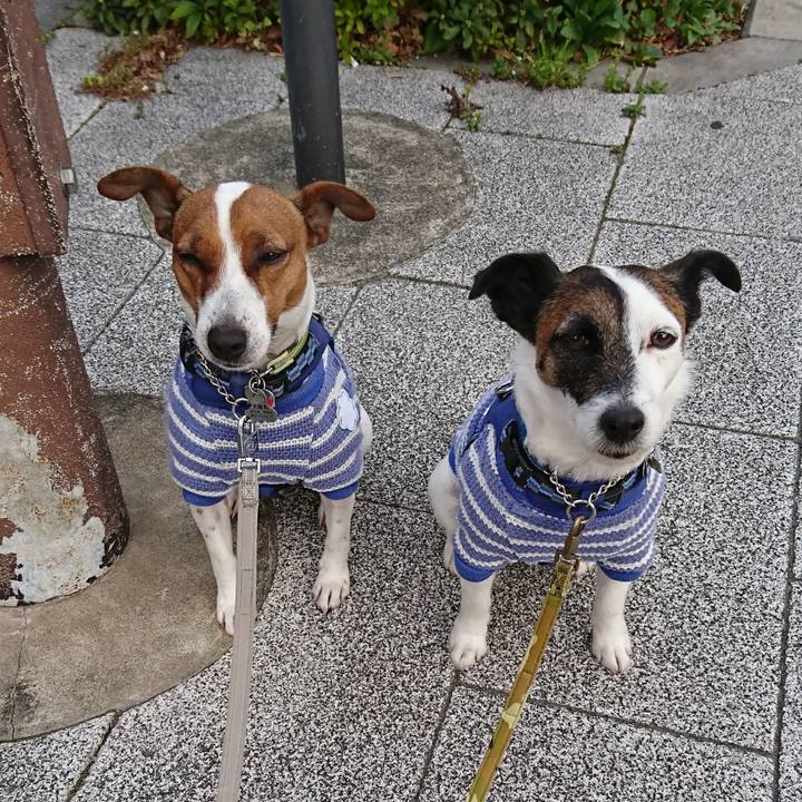 3b1de531 0a90 4918 a9a6 e2ebb349cb29 1616106365108