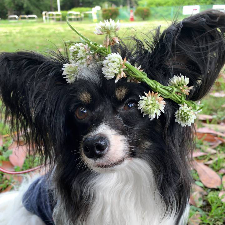 3b1deaeb bac8 44ec 9c4f 2a84197b2a39 1560257696746